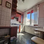 Rent 2 bedroom apartment of 50 m² in Toruń