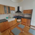 Rent 1 bedroom apartment of 50 m² in České Budějovice