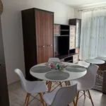 Rent 2 bedroom apartment of 45 m² in Wrocław