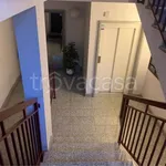 Rent 2 bedroom apartment of 60 m² in Torino