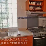 Rent 1 bedroom apartment of 45 m² in Mexico City