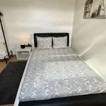 Rent 1 bedroom apartment in brussels