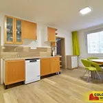 Rent 3 bedroom apartment of 58 m² in Brno