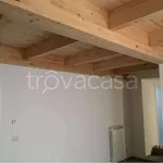 Rent 2 bedroom apartment of 50 m² in Terni