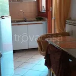 Rent 2 bedroom apartment of 110 m² in Carrara