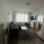 Rent 1 bedroom apartment in Chomutov