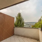 Rent 4 bedroom apartment of 200 m² in Budapest