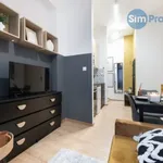 Rent 1 bedroom apartment of 24 m² in Brno