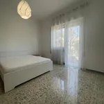 Rent 3 bedroom apartment of 87 m² in Rome