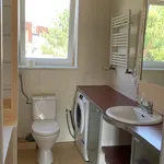 Rent 2 bedroom apartment of 50 m² in Poznan