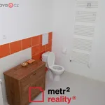 Rent 1 bedroom apartment in Šternberk