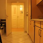 Rent 5 bedroom apartment in Berlin