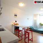 Rent 1 bedroom apartment of 29 m² in Brno