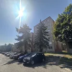 Pronajměte si 2 ložnic/e byt o rozloze 55 m² v Karlovy Vary