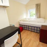 Rent 4 bedroom flat in West Midlands