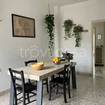 Rent 3 bedroom apartment of 80 m² in Torino