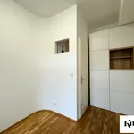 Rent 4 bedroom apartment in Brno