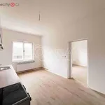 Rent 2 bedroom apartment of 40 m² in Luže