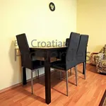 Rent 1 bedroom apartment of 50 m² in City of Zagreb