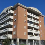 Rent 1 bedroom apartment of 37 m² in Rome