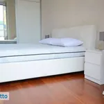 Rent 2 bedroom apartment of 60 m² in Milan