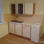 Rent 1 bedroom apartment in Teplice