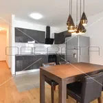 Rent 3 bedroom apartment of 111 m² in Zagreb