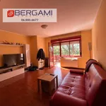 Rent 4 bedroom apartment of 110 m² in Anzio