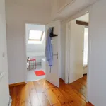 Rent a room in brussels