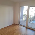 Rent 2 bedroom apartment of 49 m² in Graz