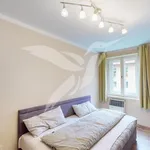 Rent 3 bedroom apartment of 59 m² in Holýšov