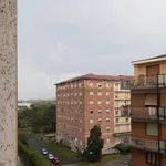 Rent 2 bedroom apartment of 50 m² in Torino