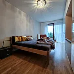 Rent 4 bedroom apartment of 99 m² in Poznan