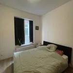 Rent 1 bedroom apartment of 55 m² in Groningen