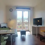 Rent 2 bedroom apartment of 40 m² in Liberec