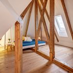 Rent 3 bedroom apartment of 120 m² in Munich