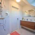 Rent 1 bedroom apartment in Waregem