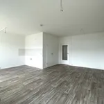 Miete 2 Schlafzimmer wohnung von 70 m² in Kappel