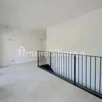 Rent 4 bedroom apartment of 110 m² in Bologna