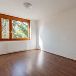 Rent 4 bedroom apartment of 158 m² in Budapest