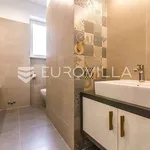 Rent 3 bedroom apartment of 100 m² in Zagreb