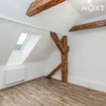 Rent 4 bedroom apartment in Plzeň-jih