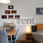 Rent 1 bedroom apartment of 39 m² in Frymburk