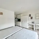 Rent 1 bedroom apartment in Brno