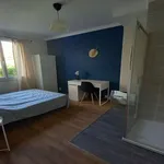 Rent 1 bedroom apartment in RENNES