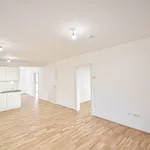 Rent 1 bedroom apartment of 67 m² in Wien