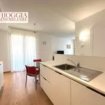 Rent 2 bedroom apartment of 50 m² in Chioggia