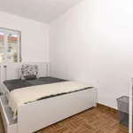 Rent a room in lisbon