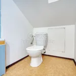 Rent 1 bedroom apartment in Plzeň