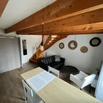 Appartement de 35 m² avec 2 chambre(s) en location à Le